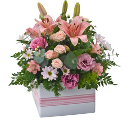 Visit Large Pink Box Arrangement