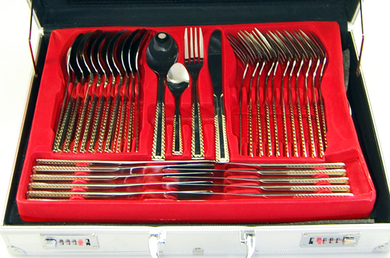 Visit Stainless Steel Spoon Fork Knife Cutlery Set with Case