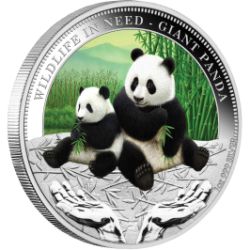 Visit Giant Panda 1oz Silver Proof Coin