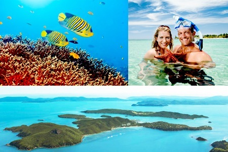 Visit Hamilton Island Escape