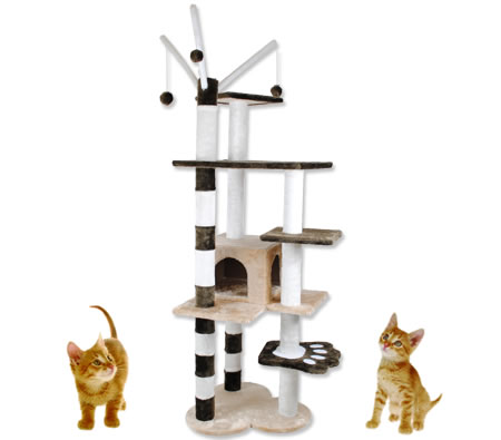 Visit 5 Level Cat/Kitten Gym Tree Scratching Pole