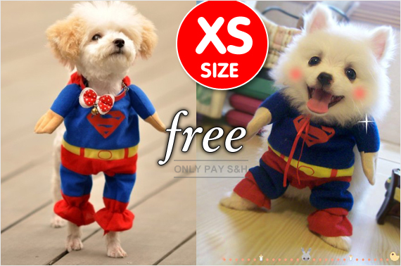 Visit Deluxe Superman Pet Costume