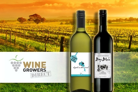 Visit A case of 2010 Dyed in the Wool Margaret River Sauvignon Blanc Semillon OR 2010 Boys Block Shiraz