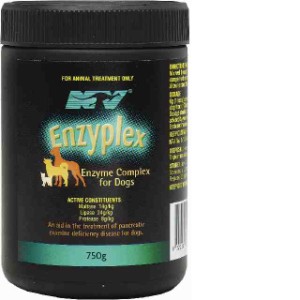 Visit Enzyplex 750gm X 2