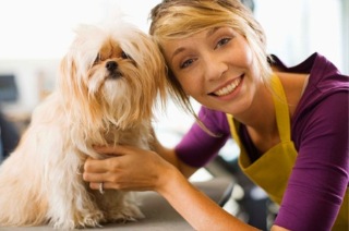 Visit Adelaide  Complete Dog Grooming Package