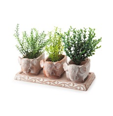 Visit 3 white-washed terracotta elephant herb planters on a tray