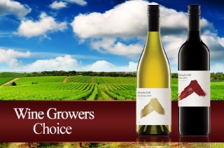Visit Melbourne: Premium Award-Winning Wine with Victoria-Wide Delivery