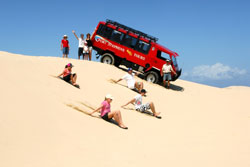 Visit Dolphin Watch,4WD Tour&Sand Boarding-Port Stephens