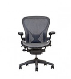 Visit Aeron Posture Fit by Herman Miller