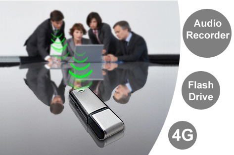 Visit 4GB USB Flash Drive with Audio Recorder