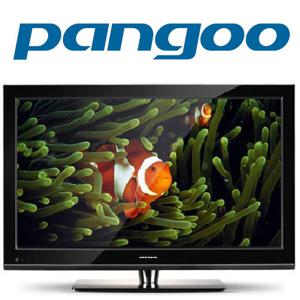 Visit Pangoo 22in Full HD 1080P LED LCD TV