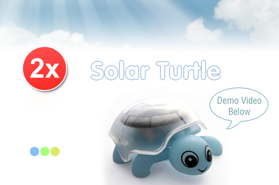 Visit 2 x Mini Solar Turtle