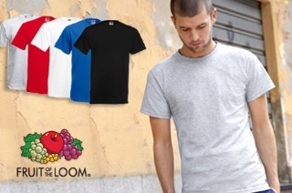 Visit Apparel: Five Men’s Fruit of the Loom Cotton T-Shirts, Delivery Included