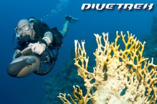 Visit Sydney: Open Water Diver or DPV