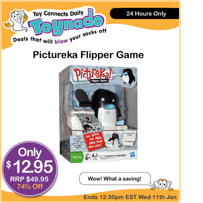 Visit Pictureka Flipper Game