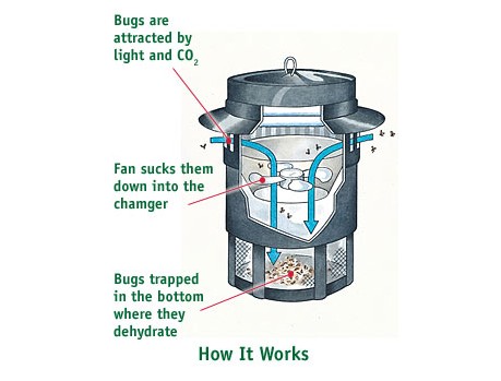 Visit Pestrol Outdoor Exterminator