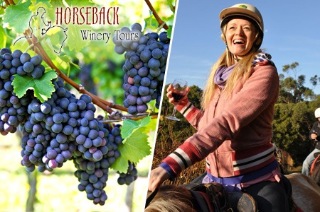 Visit Melbourne: Horseback Winery Tour with Wine-Tasting Stops, Red Hill