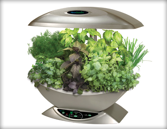 Visit The easy indoor herb and salad garden