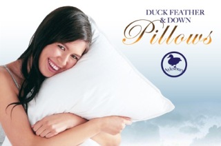 Visit Premium Duck Feather and Down Pillows