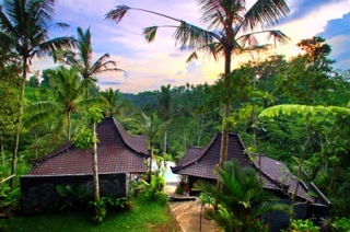 Visit Ubud, Bali: Tropical Villa with Breakfast